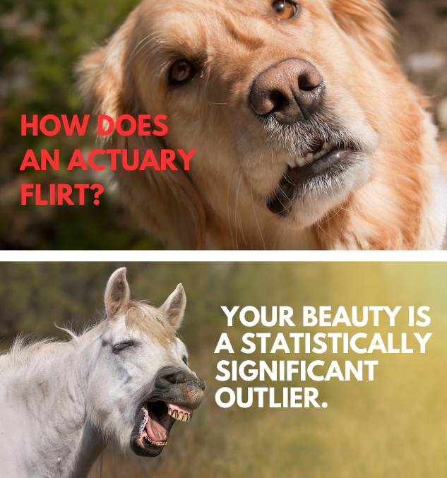 Best Actuary Jokes to Tickle Your Funny Bone
