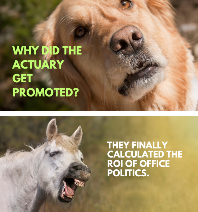 Risk-Free Actuary Jokes Guaranteed to Amuse