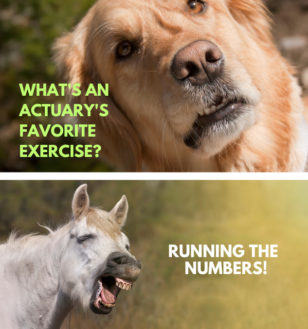Hilarious Actuary Jokes for Number Nerds